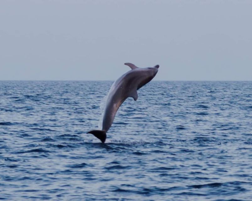 Brijuni Islands: Sunset & Dolphins Private Boat Tour - Booking Information