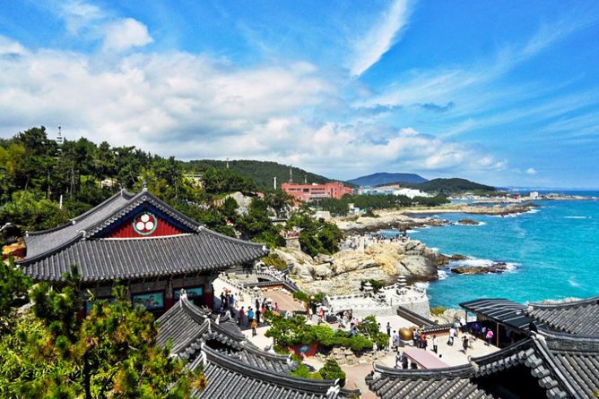 Busan Highlights Small-Group Shore Excursion With Korean Lunch - Pricing and Booking Information