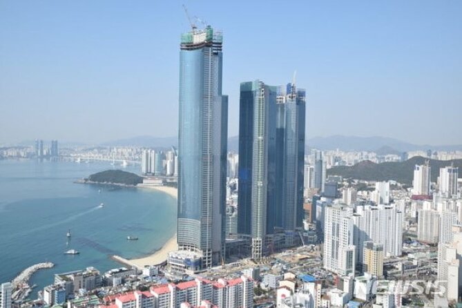 Busan Private Full-Day Sightseeing Tour With Custom Itinerary - Customer Reviews and Ratings