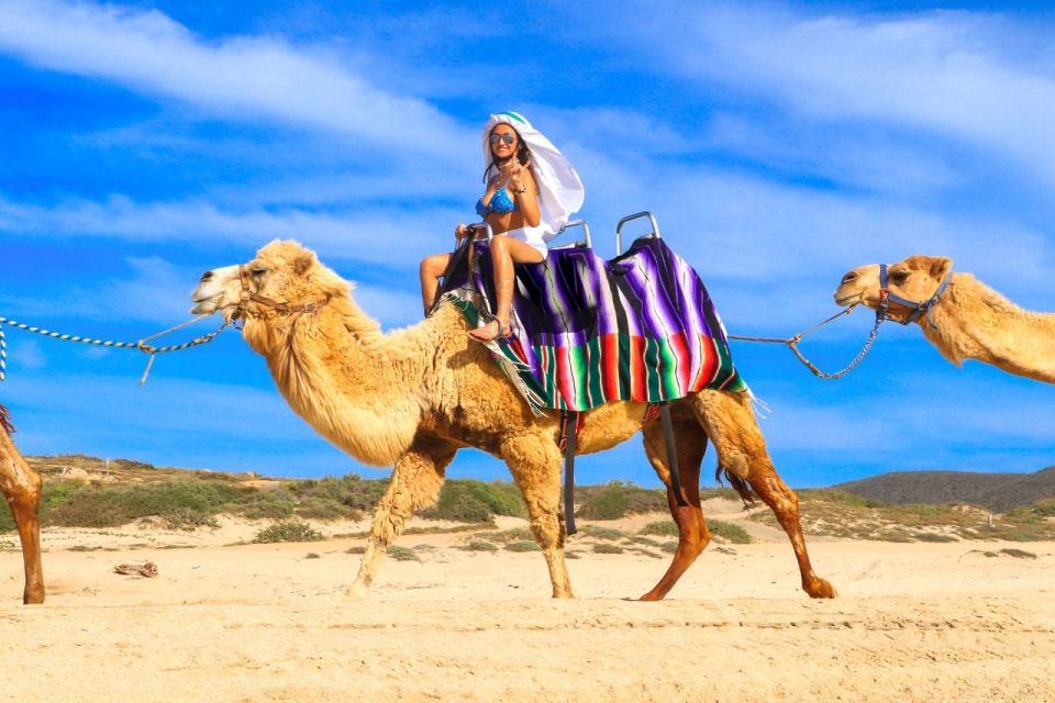 Cabo San Lucas: Camel Ride & Off-Road UTV Combo Adventure - Common questions