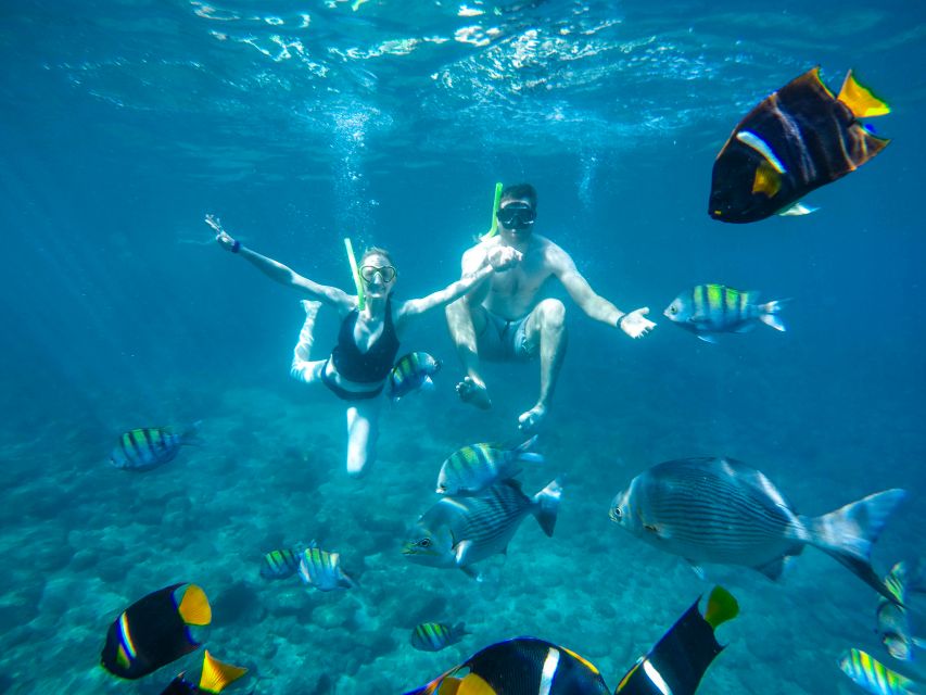 Cabo San Lucas: Snorkel Tour With Open Bar & Snacks - Directions