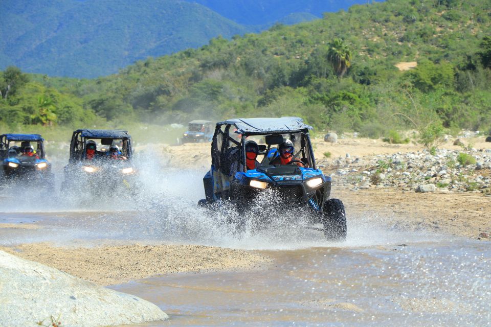 Cabo: UTV Off-Roading, Mexican Lunch, and Tequila - UTV Off-Roading Experience