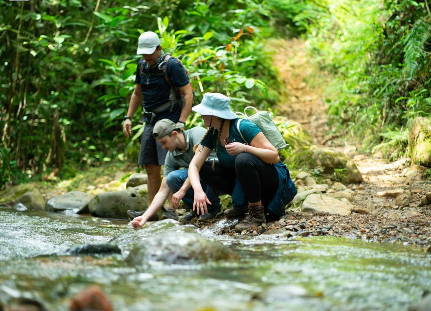 Cali: Hiking to the Pance Waterfalls - Important Tips