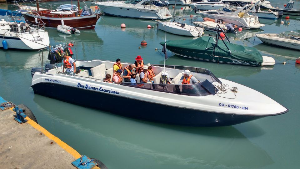 Callao: Swimming With Sea Lions Palomino Islands Boat Tour - Last Words