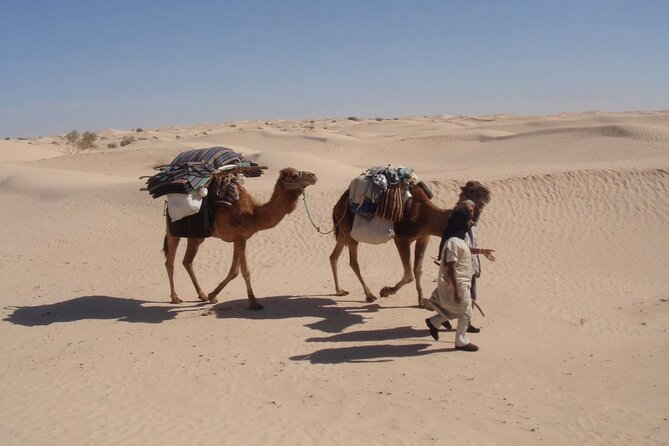 Camel Ride and 1 Night in the Desert - Last Words