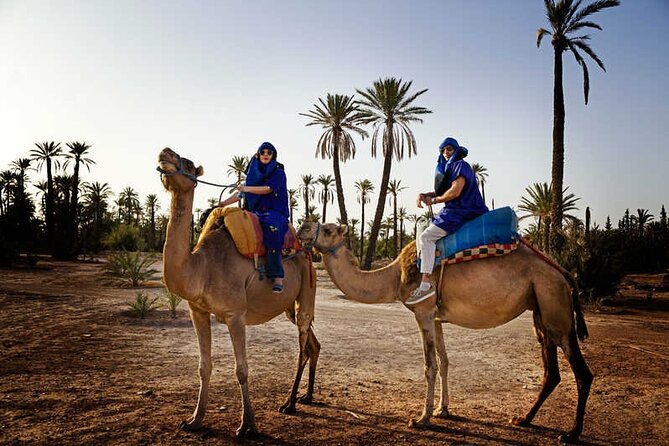 Camel Ride at Sunset From the Palm Grove - Last Words