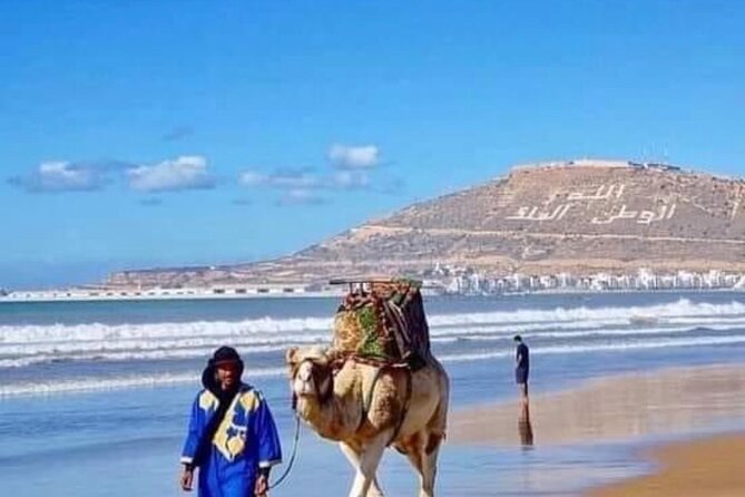 Camel Riding Agadir - Last Words