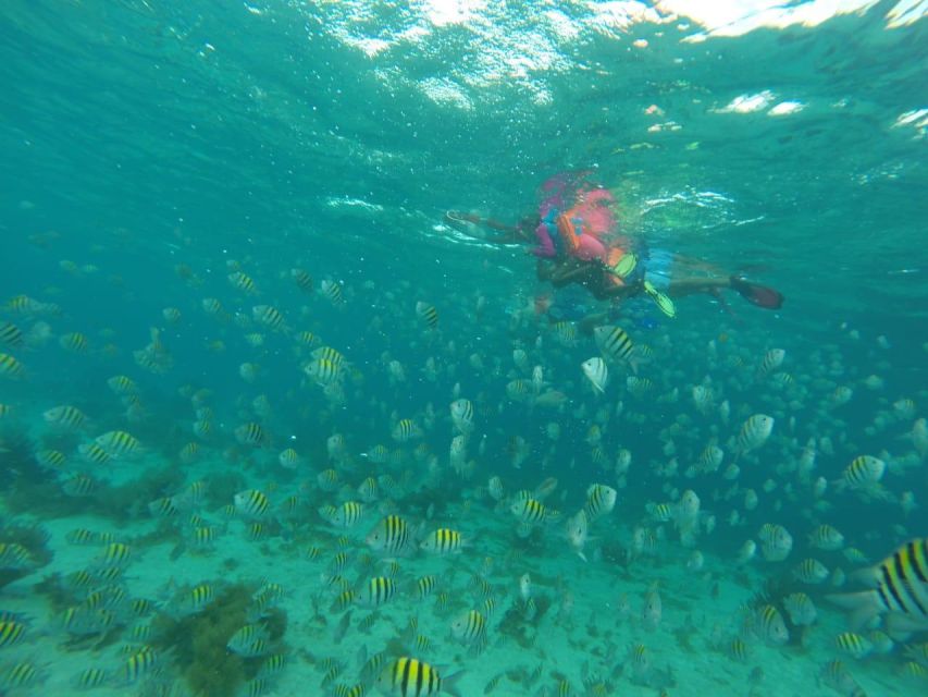 Cancun: 3-Hour Snorkel at Sunken Ship & Coral Reef - Additional Tour Information