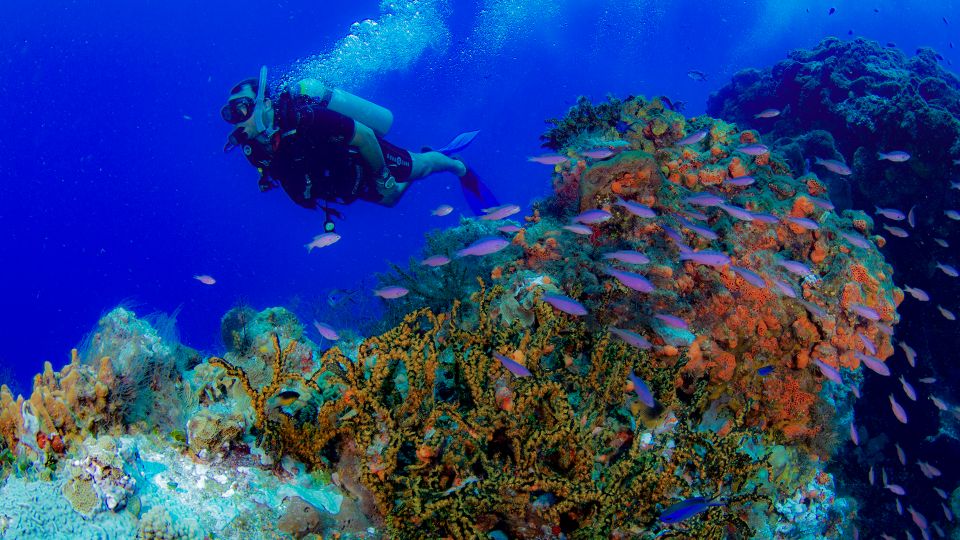 Cancun: Aquaworld Scuba Diving School - Reservation and Arrival Details