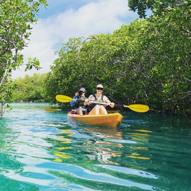Cancún: Morning or Sunset Kayak Adventure in Nichupte Lagoon - Last Words
