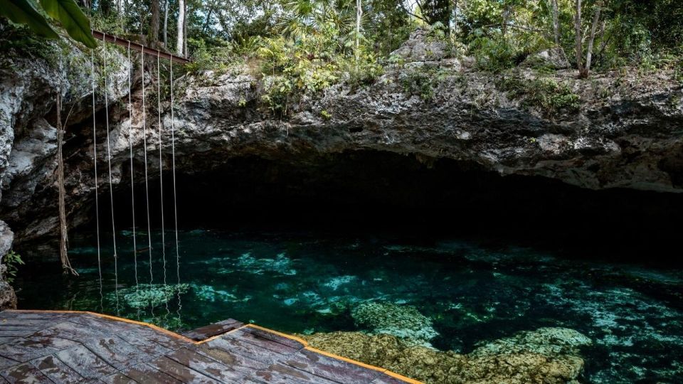Cancun/Puerto Morelos: Tulum, Cenote & Playa Del Carmen Trip - Noteworthy Recommendations