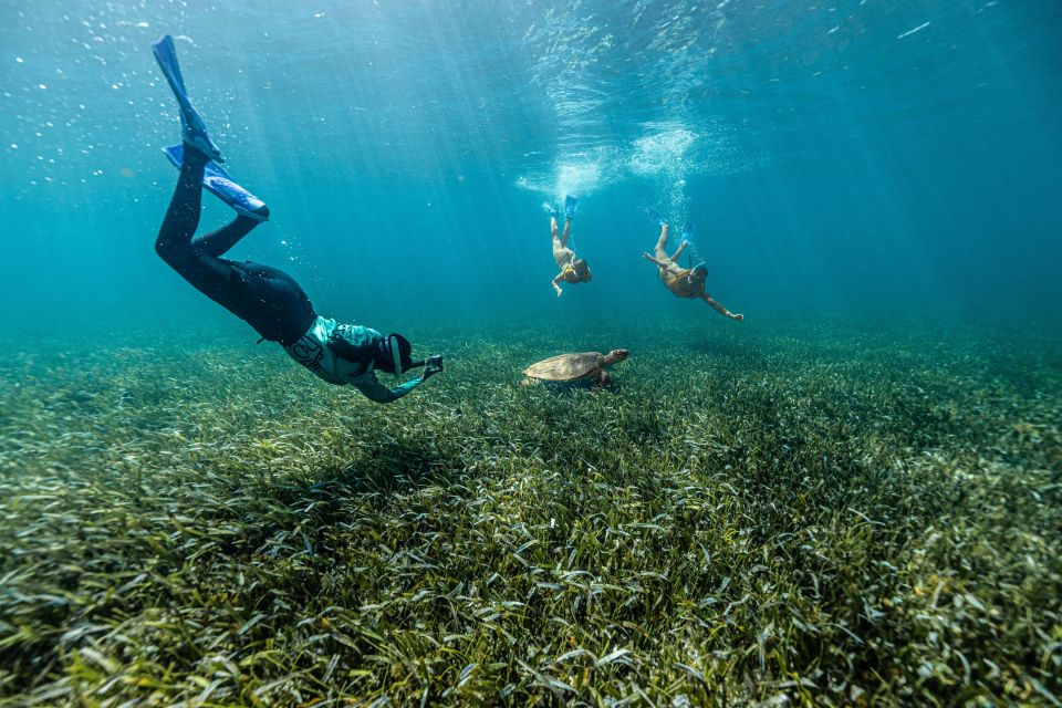 Cancun: Snorkeling Tour for Non-Swimmers - Last Words