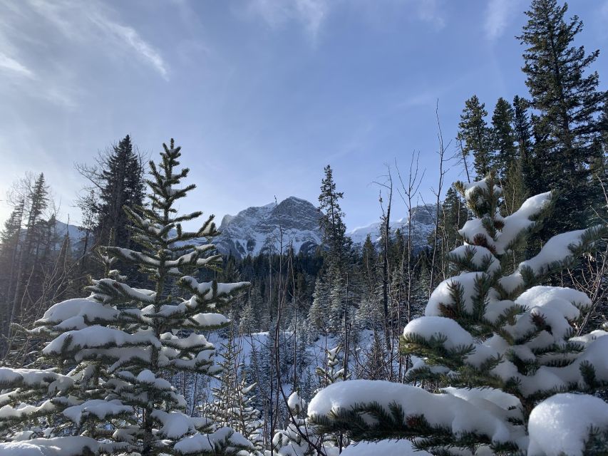 Canmore: Wilderness and Wildlife - Hiking Tours - Common questions