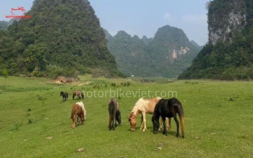 Cao Bang Loop With Adventure Motorbike Viet Tour 2 Days - Common questions