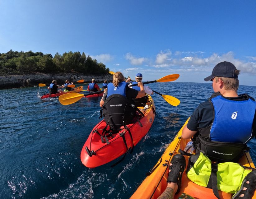 Cape Kamenjak Guided Kayak Sunset Tour With Island Exploring - Marine Life Observations