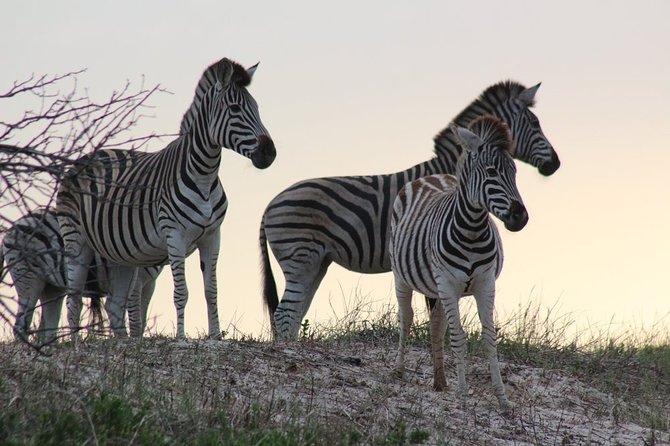 Cape Recife, Lighthouse and 4x4 Grysbok Reserve - HD14 - Common questions