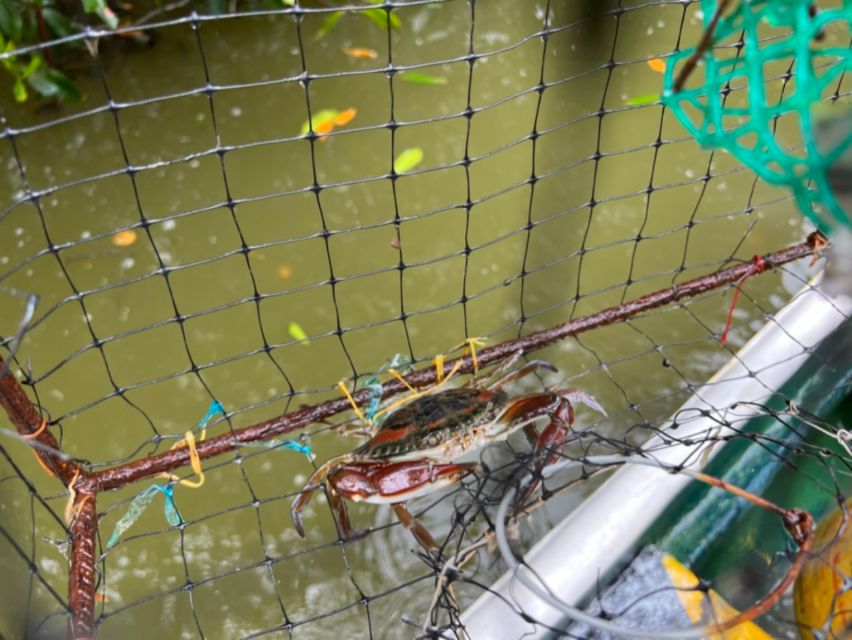 Cartagena Fishing, Crabbing, Birdwatching Experience Lunch - Common questions