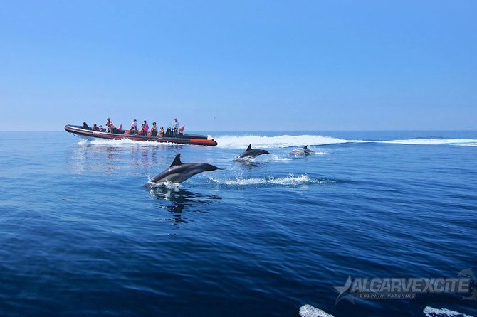 Cheapest Family Friendly Boat Trip From Vilamoura Algarve - Additional Traveler Information