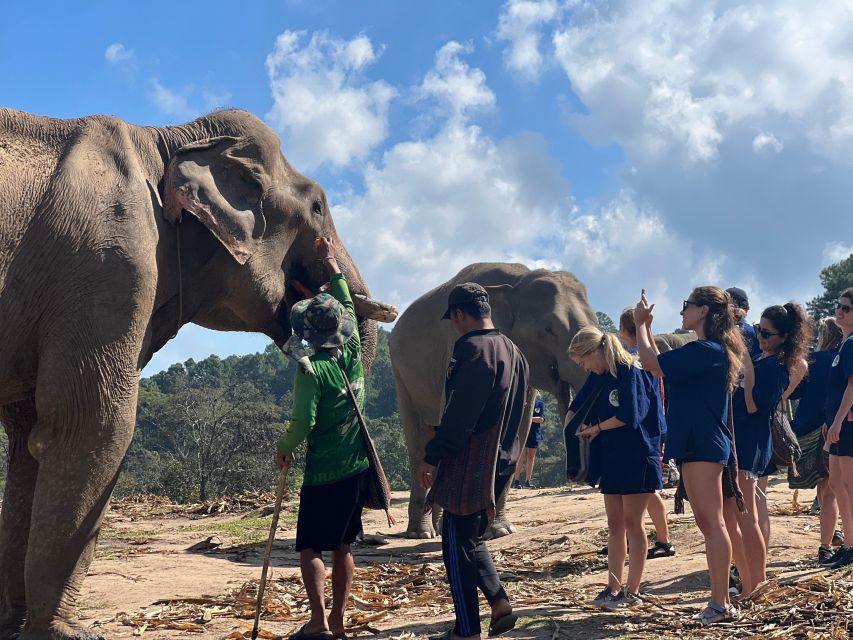 Chiang Mai :Doi Inthanon Explore &Ethical Elephant Sanctuary - Last Words