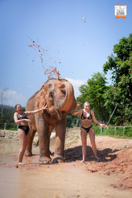 Chiang Mai: Elephant Jungle Sanctuary With Lunch & Transfer - Last Words