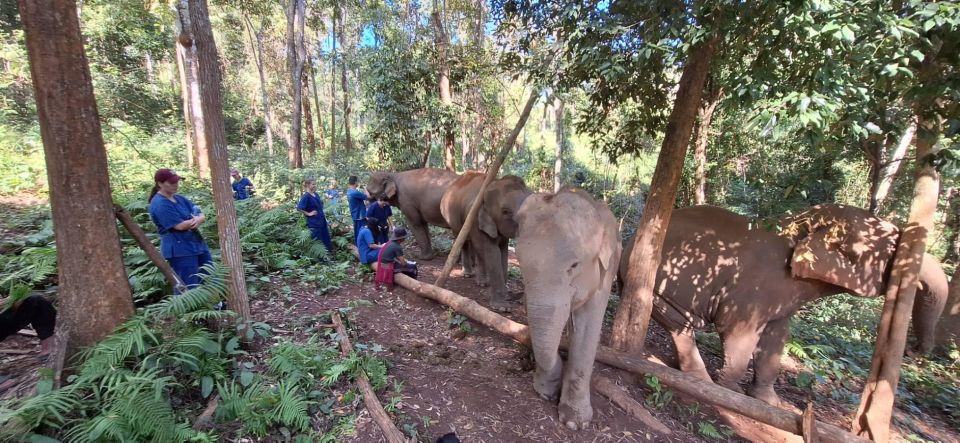 Chiang Mai: Elephants, Waterfall, and White Water Rafting - Last Words
