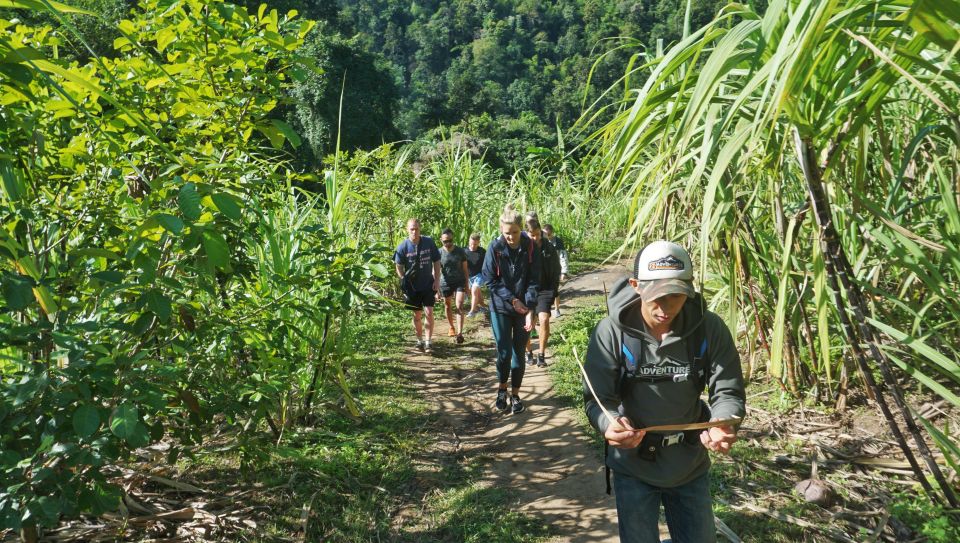 Chiang Mai: Guided Jungle and Waterfall Trek With Transfer - Last Words