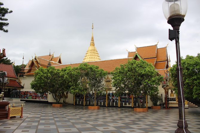 Chiang Mai Morning Alms With Doi Suthep, Wat Umong, and More - Booking and Cancellation Policy