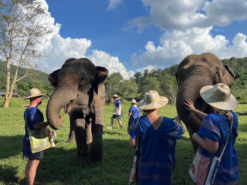 Chiang Mai: New Elephant Home Elephant Care Program - Host Venue