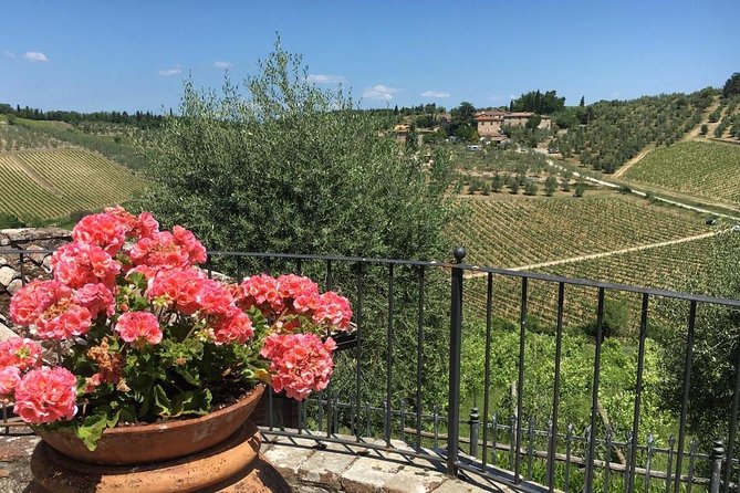 Chianti Wine Tour - Private Wine Experience in Tuscany Countryside - Last Words