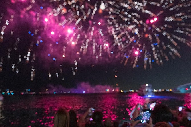 Chicago 3D Fireworks Cruise - Language and Ticket Information