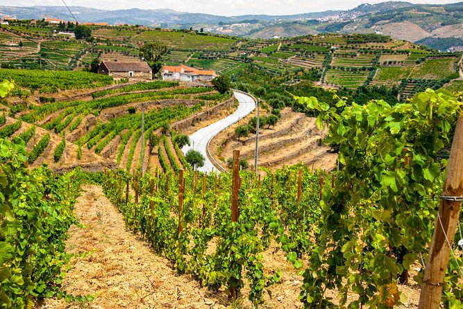 City Escape: Douro Valley Private Day Trip - Last Words