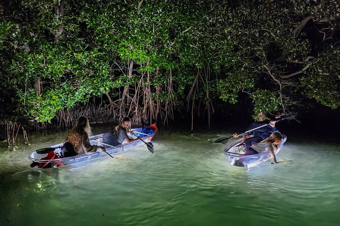 Clear Kayak LED Night Glass Bottom Tour - Sarasota - Common questions