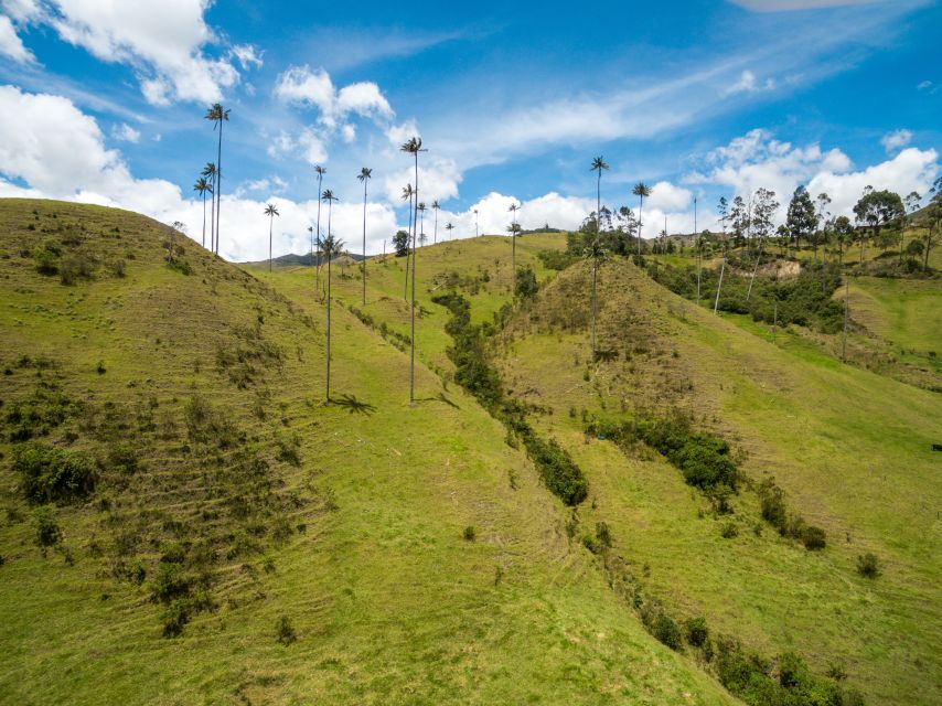 Cocora Valley, Salento and Coffee Farm Tour - Last Words