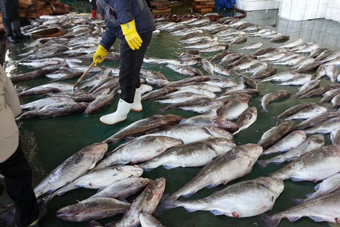 Cod Auction and Clam Auction in Winter - Common questions