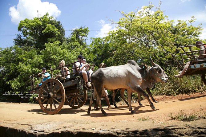 Colombo to Sigiriya and Hiriwadunna Private Full-Day Trip - Last Words