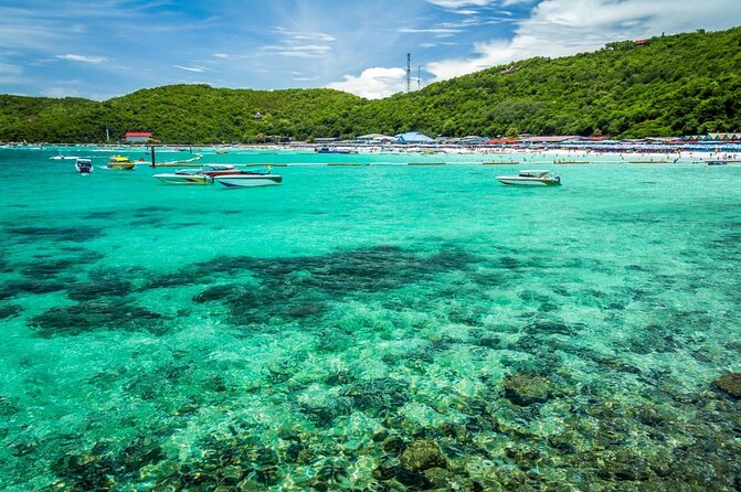 Coral Island Tour in Koh Larn With Lunch - Key Points