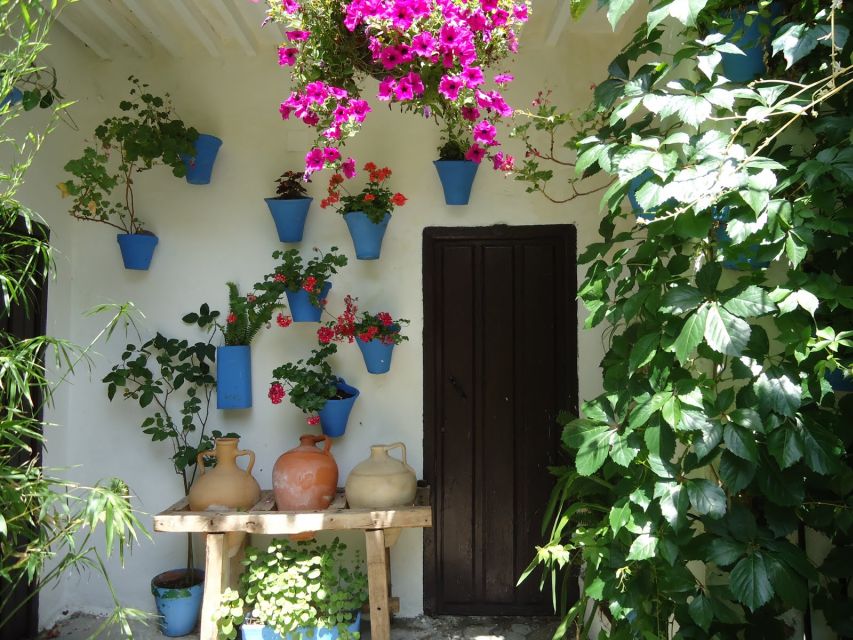 Cordoba: Patios & Flowers Private Walking Tour - Full Description