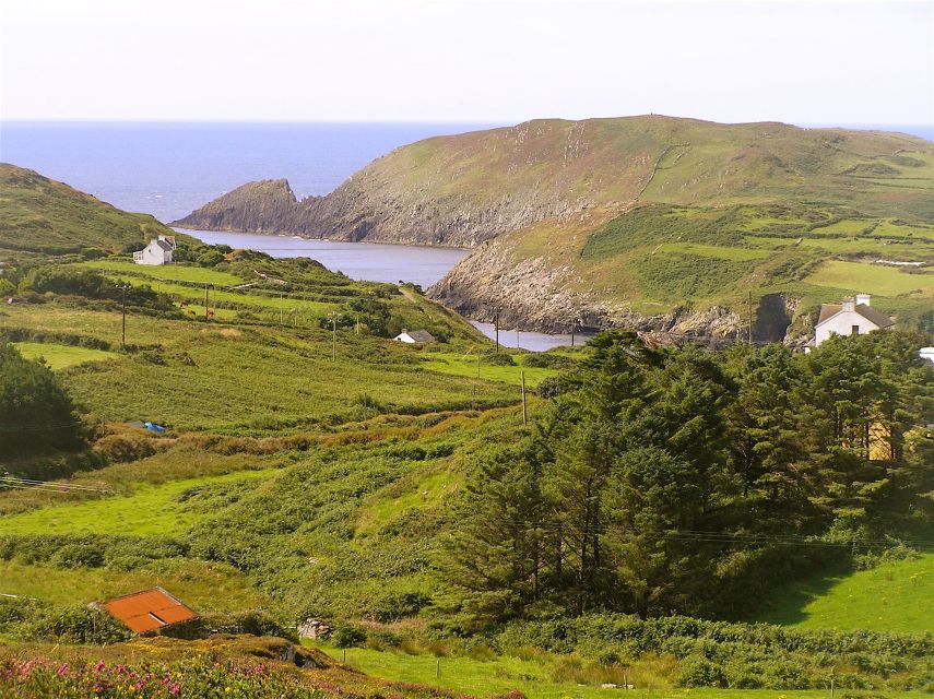 Cork: Fastnet Rock Lighthouse and Cape Clear Island Tour - Last Words