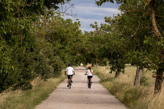 Cortona - Ebike Tour and Wine Tasting in the Val Di Chiana [40] - Tour Restrictions and Considerations