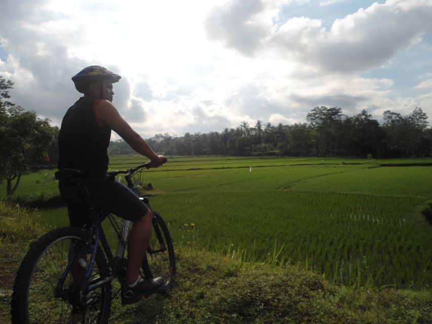 Countryside Bike Ride to Golong Village and Lingsar Temple - Last Words