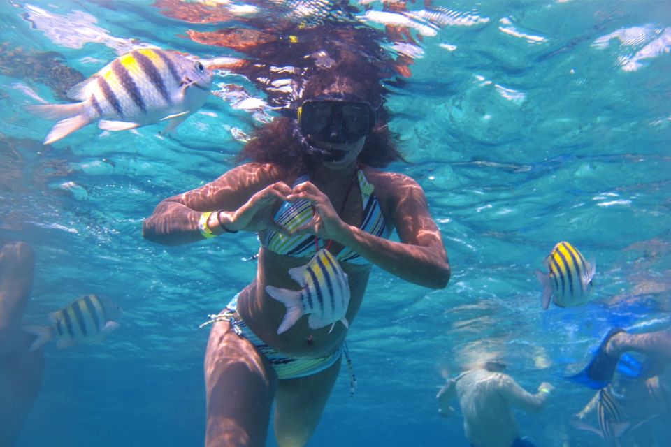 Cozumel: Clear Boat and Electric Scooter Ride - Last Words