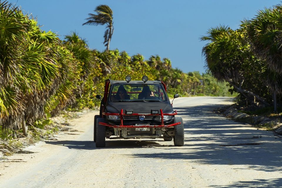 Cozumel: Off-road Adventure to Punta Sur and Clear Boat Ride - Common questions