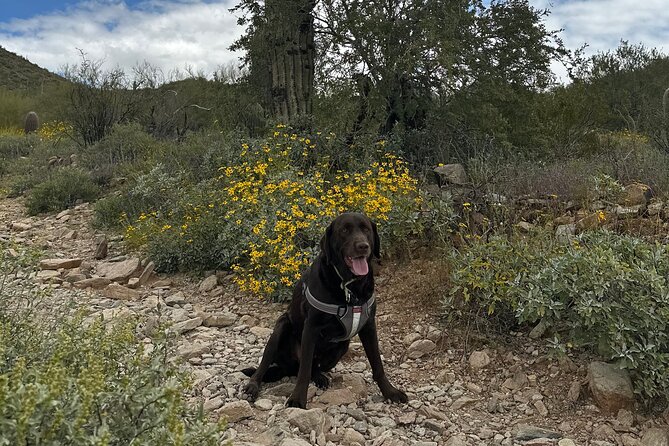 Creative Soul Scavenger Hunt (Lost Dog Trailhead, Scottsdale) - FAQs and Contact Information