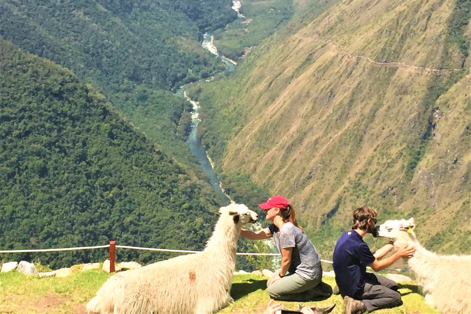 Cusco: Machu Picchu 4-Day Inca Trail Trek & Panoramic Train - Common questions