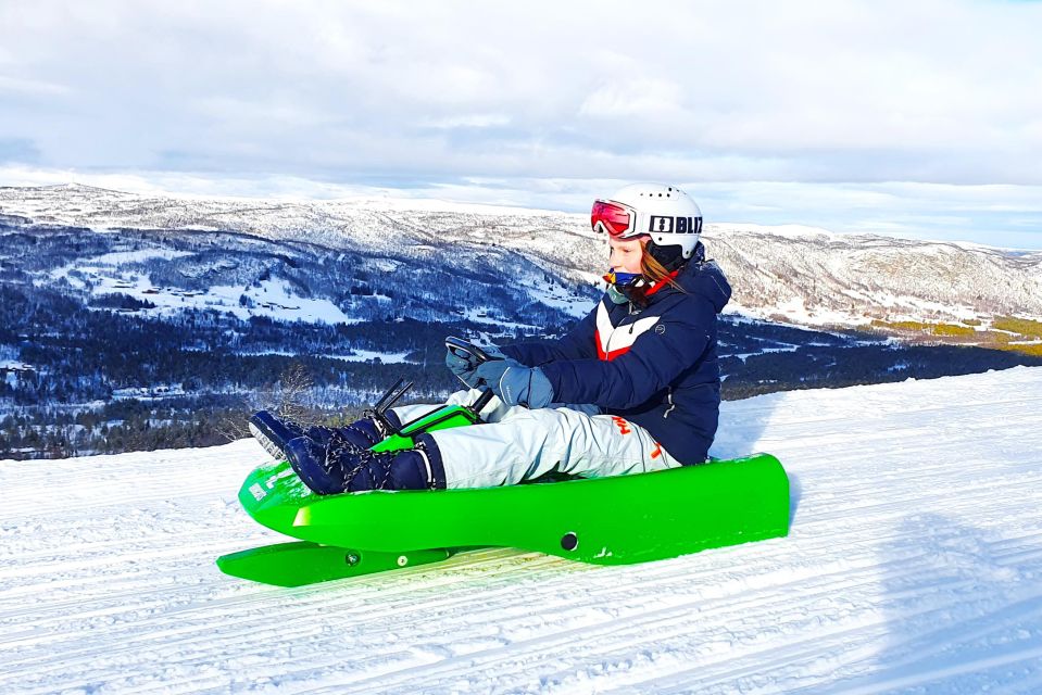 Dagali: 2-Hour Racing Toboggan Adventure - Safety Guidelines and Recommendations