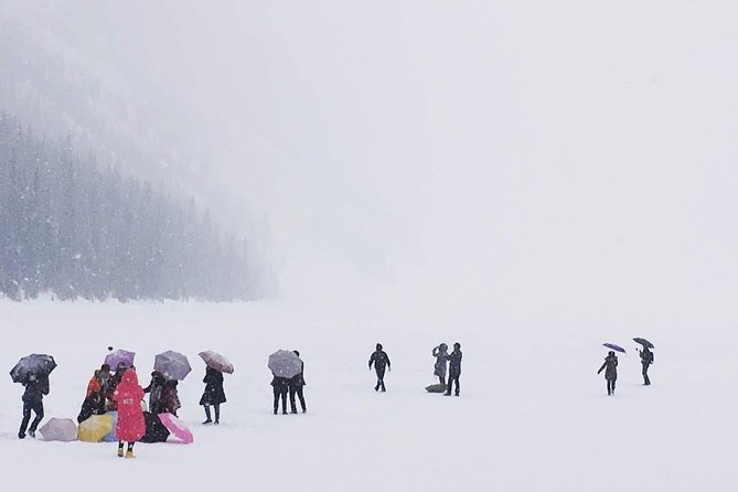 Day Hike in Lake Louise - Common questions