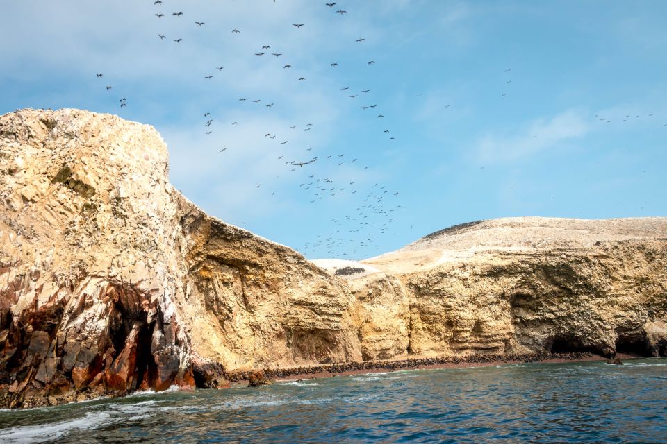 Day Tour: Ballestas Islands & Paracas Natural Reserve - Common questions