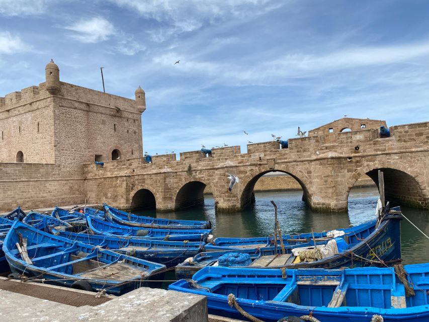 Day Trip to Essaouira - Tips for Exploring Essaouira