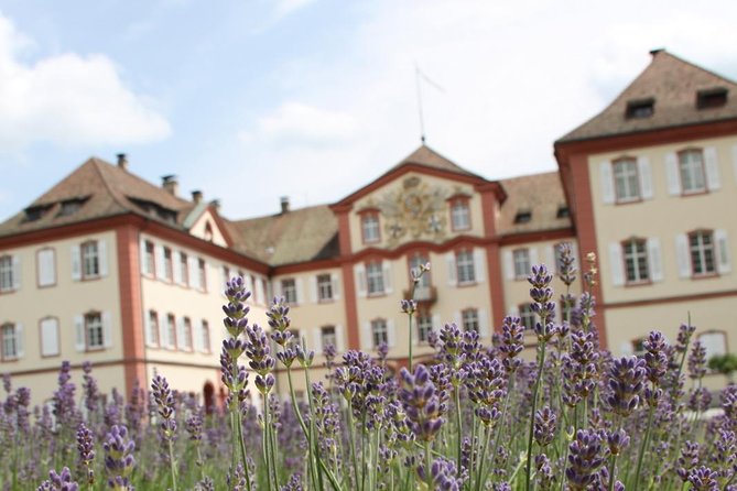 Day Trip to the Island of Mainau With Highlights on Lake Constance From / to Oberstaufen - Last Words