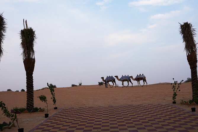 Deluxe Desert Safari Dubai With Premium Camp Experience - Common questions